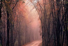 奥萨苏纳击败对手，实现两连胜