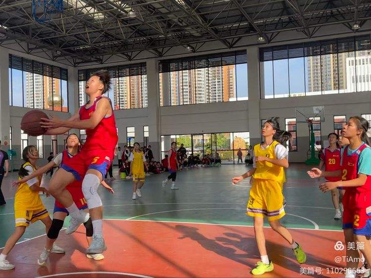 男孩女孩都沉浸在篮球盛宴中