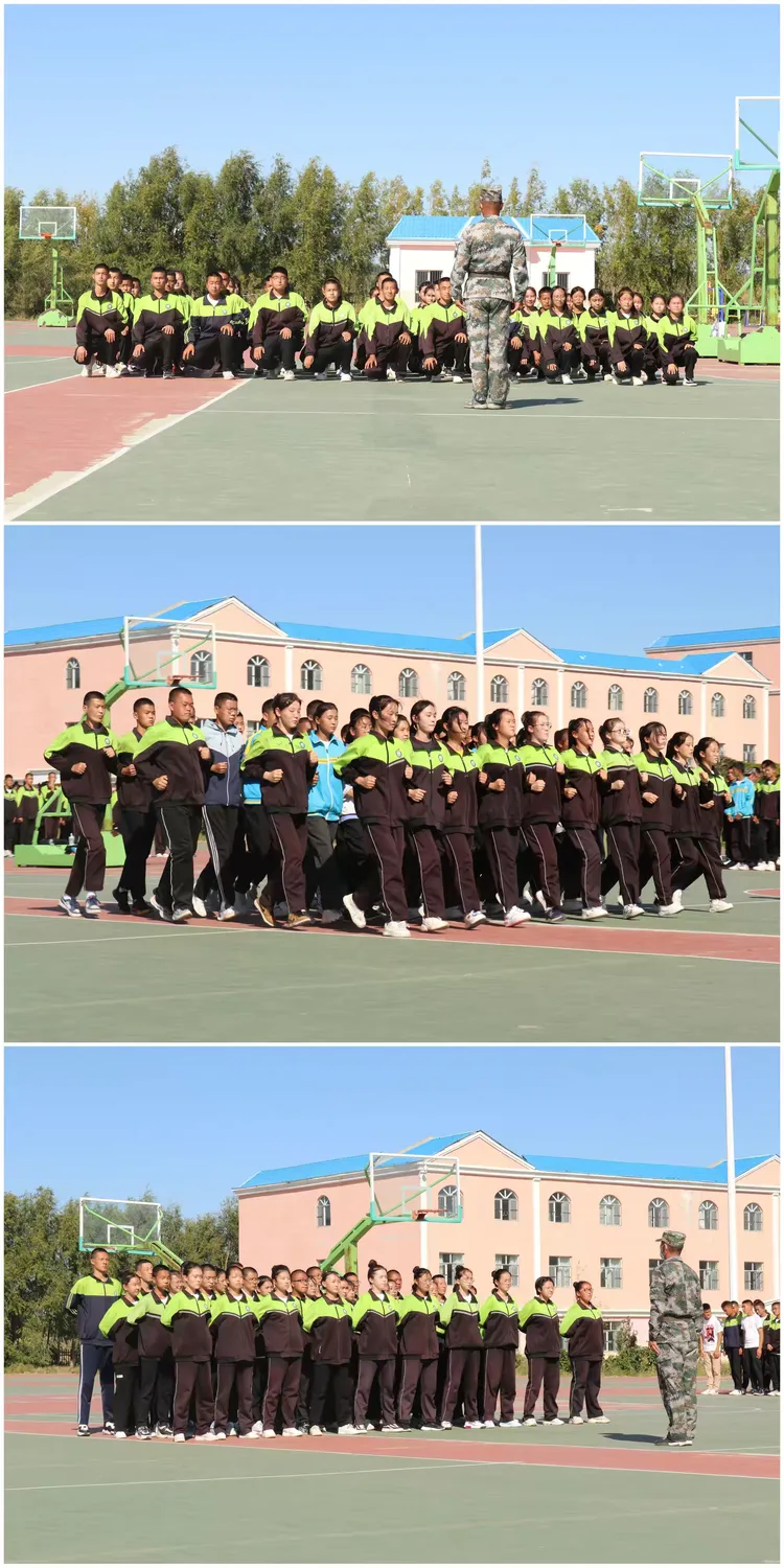 法兰克福斗志昂扬，连胜气势如虹的简单介绍